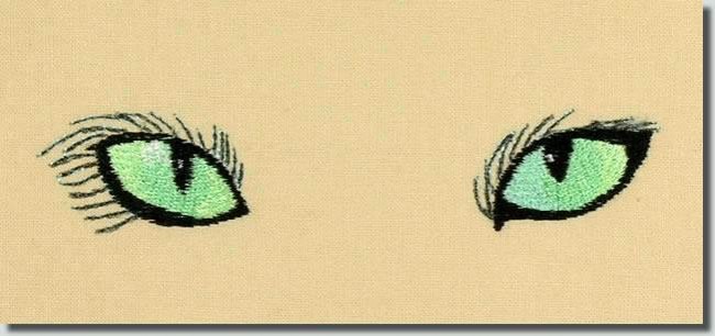 BFC0763 The Cats Eyes Have It