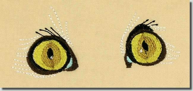 BFC0763 The Cats Eyes Have It