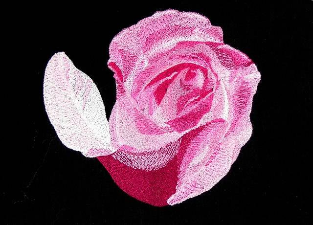 BFC0764 Roses