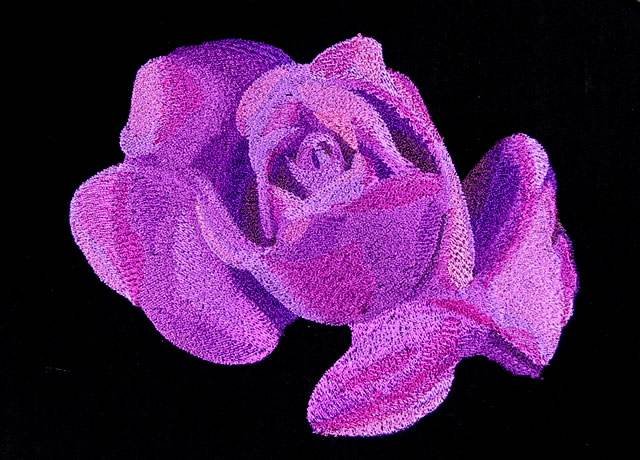 BFC0764 Roses