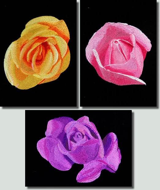 BFC0764 Roses