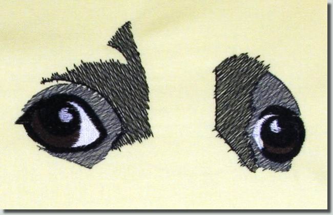 BFC0767 The Dogs Eyes Have It