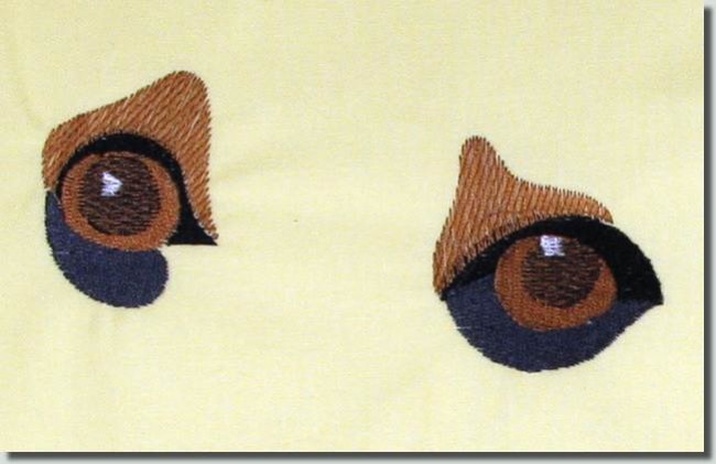 BFC0767 The Dogs Eyes Have It