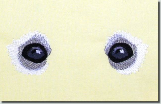 BFC0767 The Dogs Eyes Have It