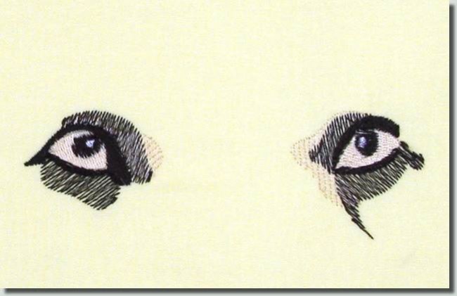 BFC0767 The Dogs Eyes Have It