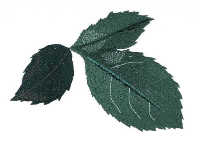 BFC0768 Rose Stems and Leaves