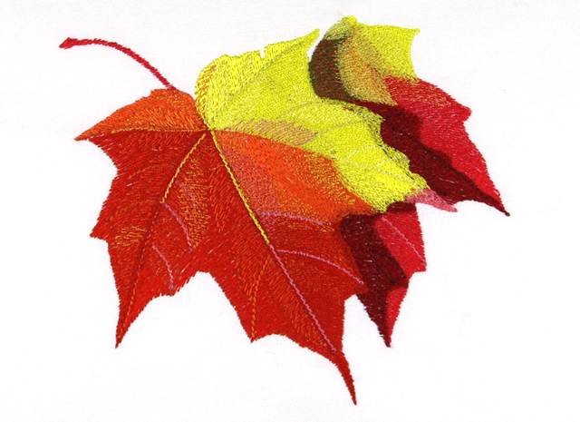 BFC0769 Leaves of Autumn