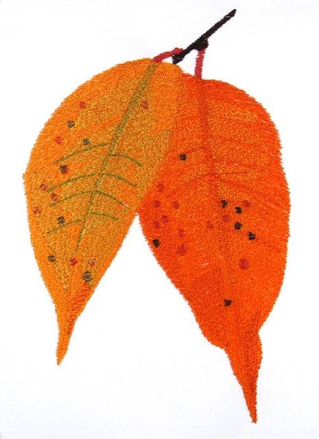 BFC0769 Leaves of Autumn