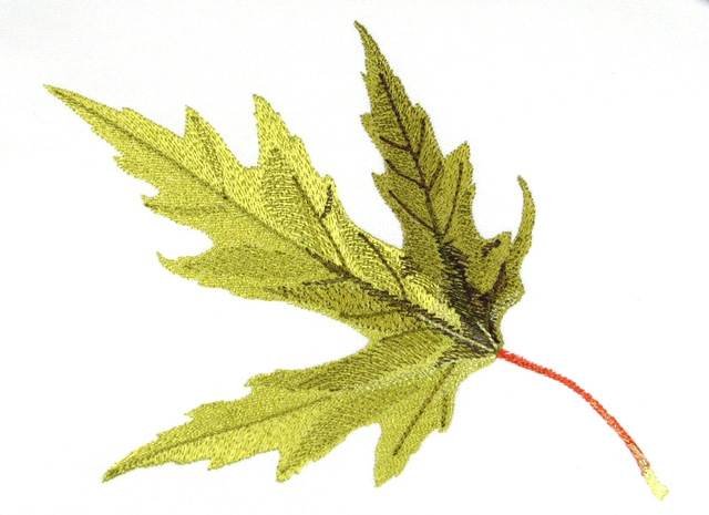 BFC0769 Leaves of Autumn
