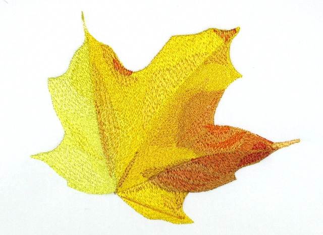 BFC0769 Leaves of Autumn