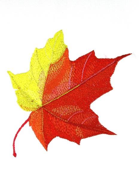 BFC0769 Leaves of Autumn