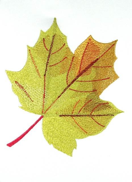 BFC0769 Leaves of Autumn