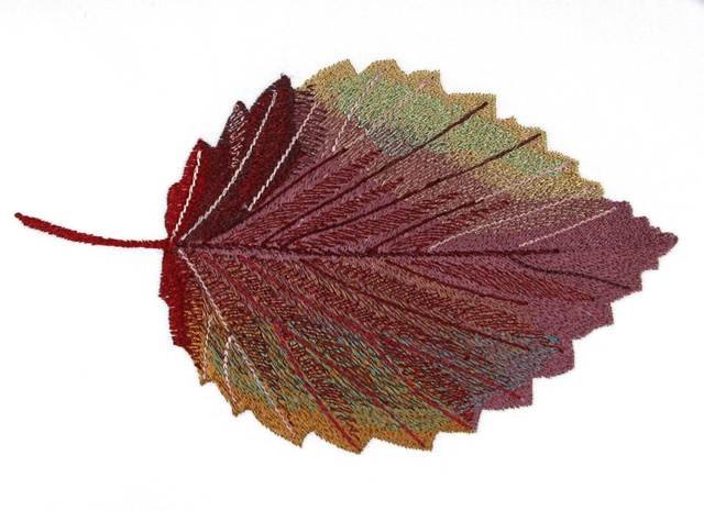BFC0769 Leaves of Autumn