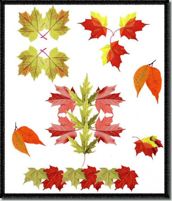 BFC0769 Leaves of Autumn
