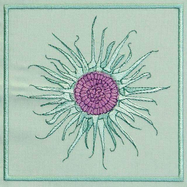 BFC0774 QIH Thistle Sampler