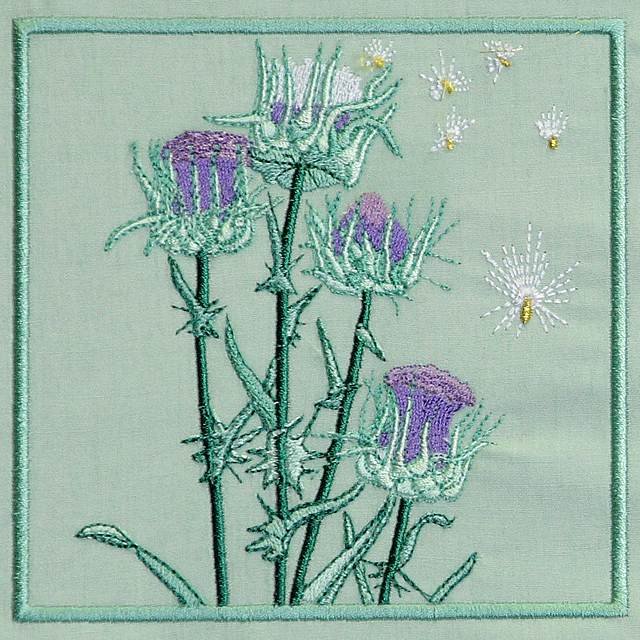BFC0774 QIH Thistle Sampler