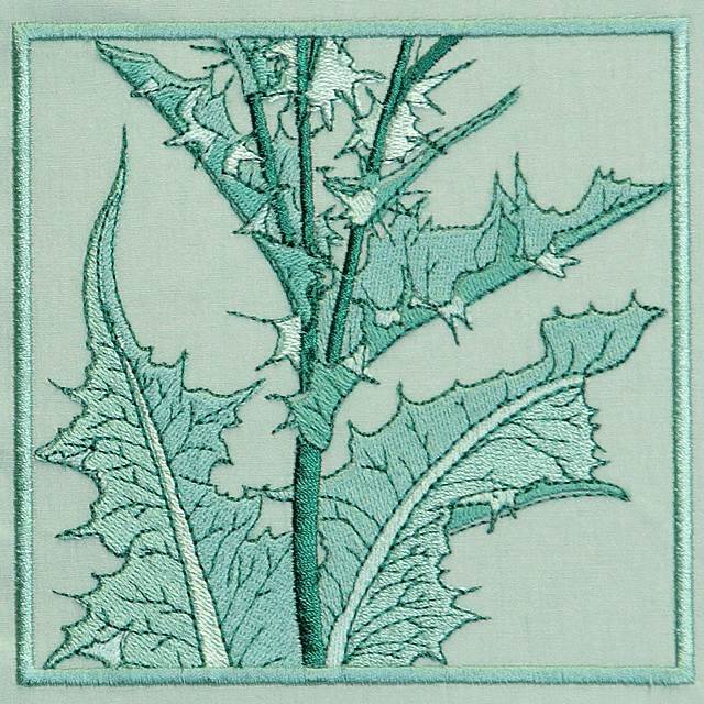 BFC0774 QIH Thistle Sampler