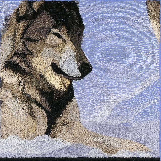 BFC0778 Window - Two Wolves