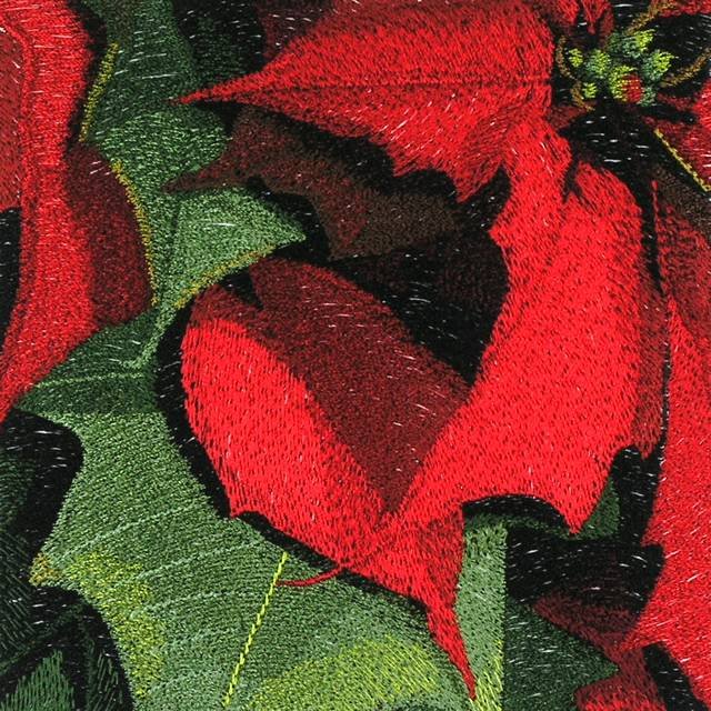 BFC0781 Window-A Poinsettia