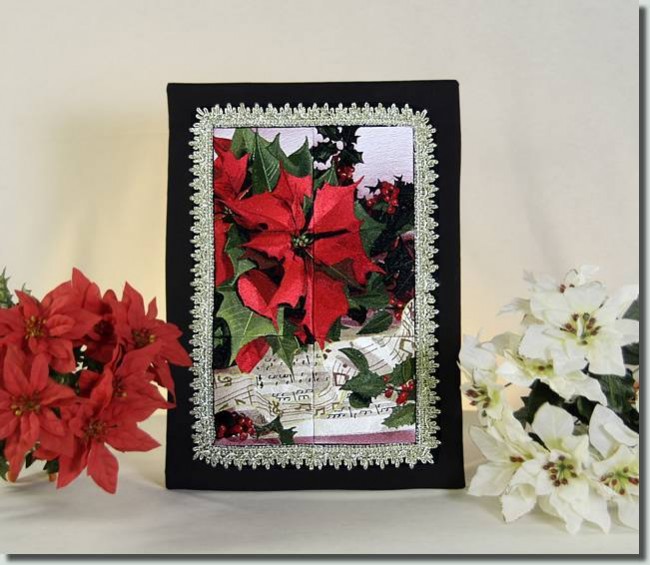 BFC0781 Window-A Poinsettia