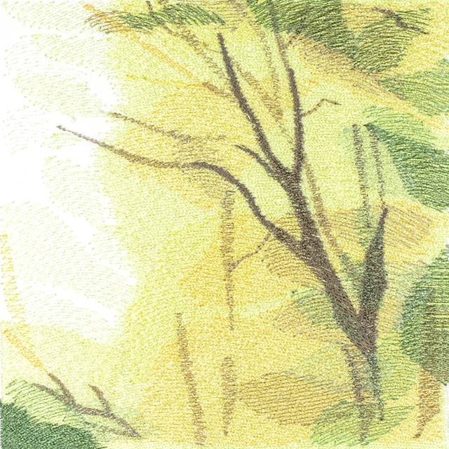 BFC0784 Window - Forest Dawn