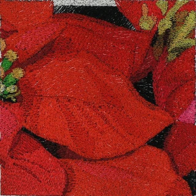BFC0786 Window - A Poinsettia II