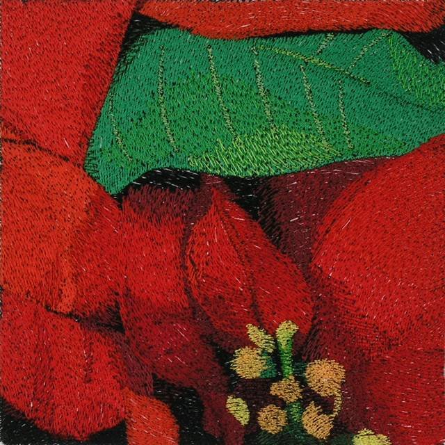 BFC0786 Window - A Poinsettia II