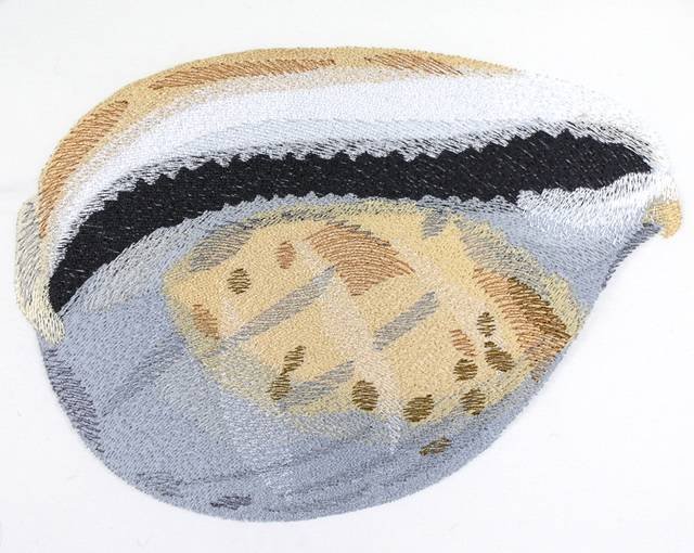 BFC0788 Seashells