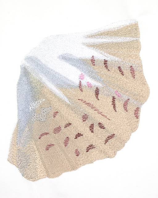 BFC0788 Seashells