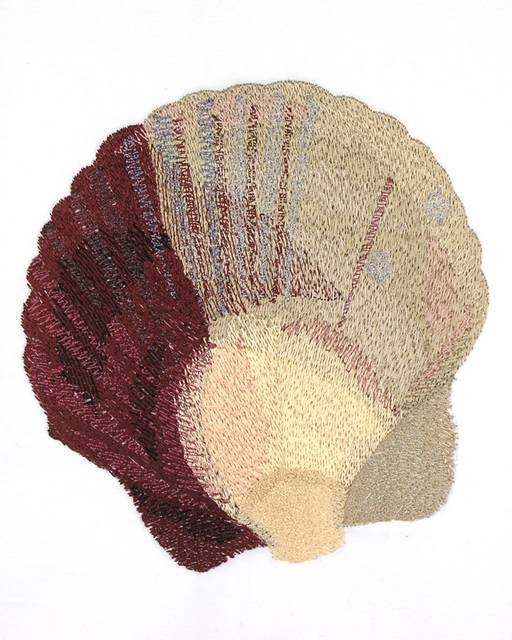 BFC0788 Seashells