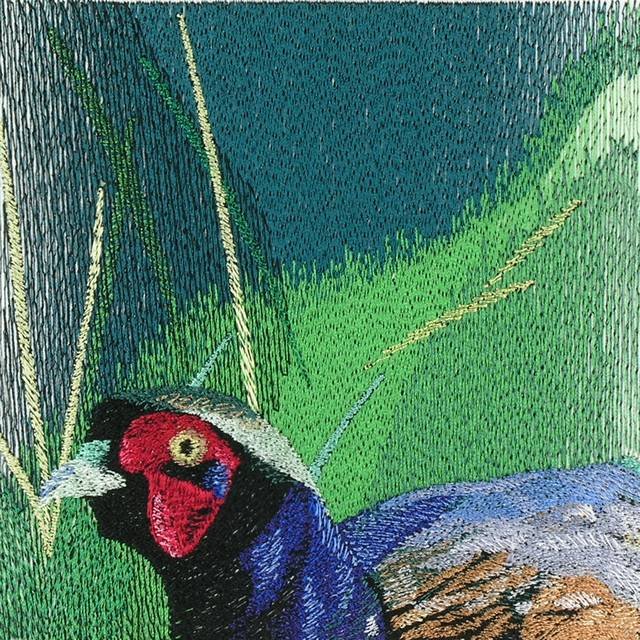 BFC0792 Two Pheasants