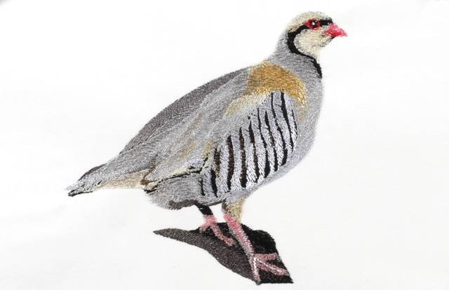 BFC0796 Game Birds I