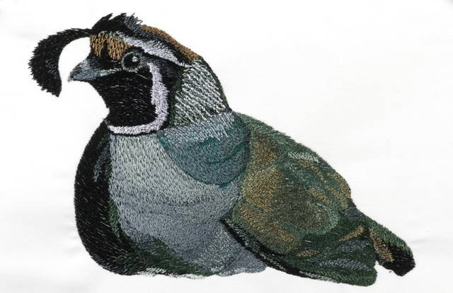 BFC0797 Game Birds II