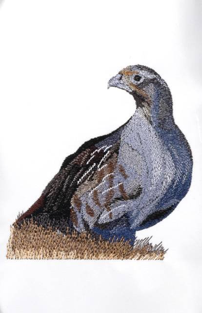BFC0797 Game Birds II