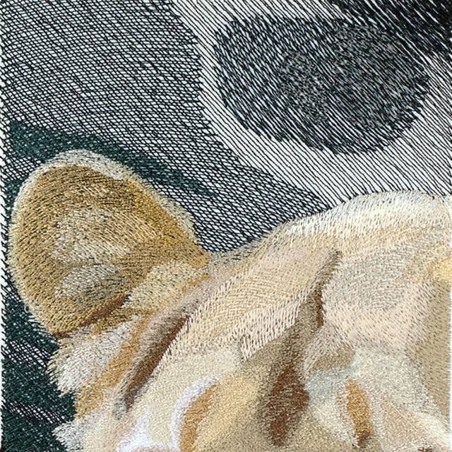 BFC0816 Lion Series-Lioness Lying in Wait