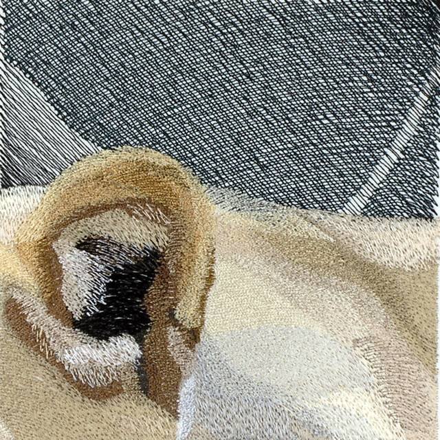 BFC0816 Lion Series-Lioness Lying in Wait