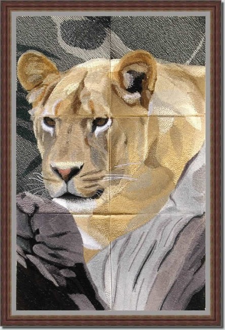 BFC0816 Lion Series-Lioness Lying in Wait