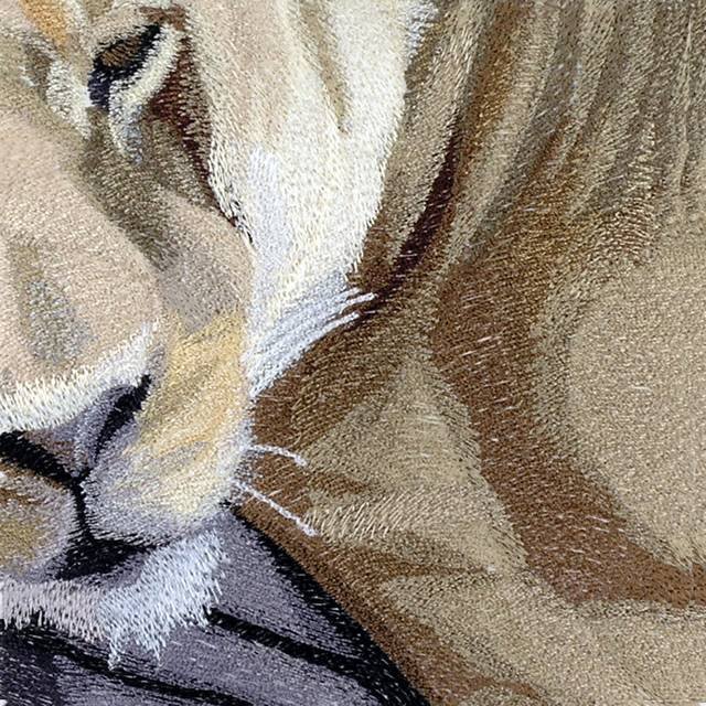 BFC0818 Lion Series-Lioness-A Difficult Life