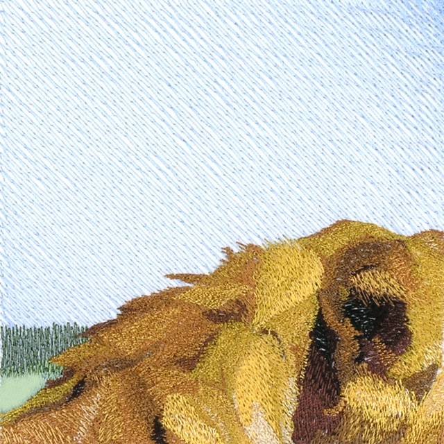 BFC0820 Lion Series-Lion-The Proud King