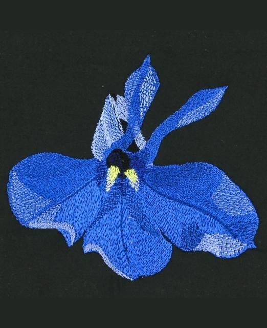 BFC0833 Orchids