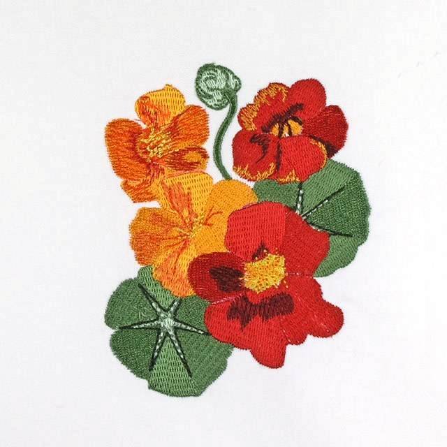 BFC0837 Suz Sampler