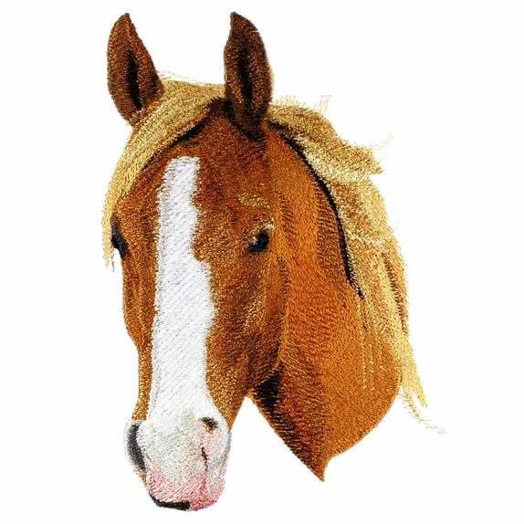 BFC0838 Fred Sampler