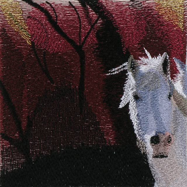 BFC0851 Window-Horses