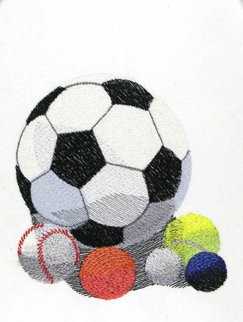 BFC0859 For The Sports Fan