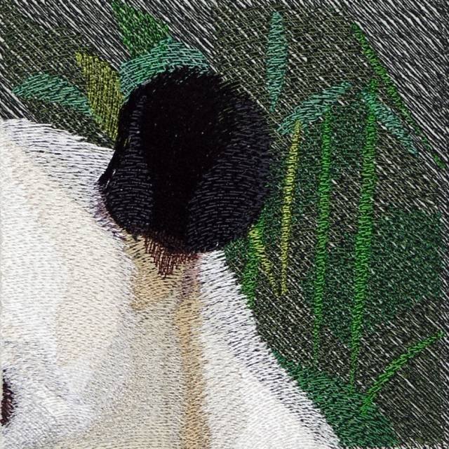 BFC0861 Window-Giant Panda
