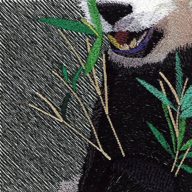 BFC0861 Window-Giant Panda