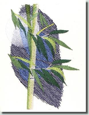 BFC0862 Bamboo