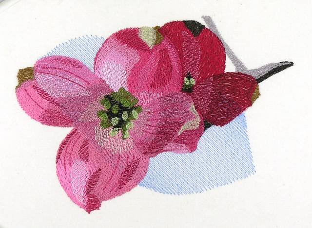 BFC0866 Cherry and Dogwood Blossoms