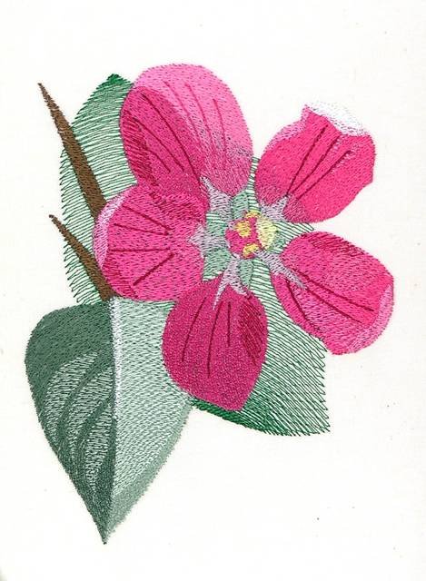 BFC0866 Cherry and Dogwood Blossoms