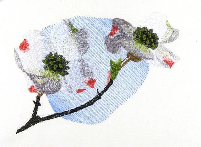 BFC0866 Cherry and Dogwood Blossoms